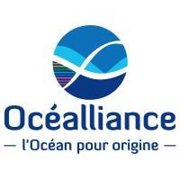 Build-up GROUPE OCEALLIANCE (EX MARITEAM) lundi 31 janvier 2022