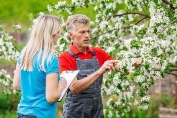 © Groupe CAAMHRO © Groupe CAAMHRO