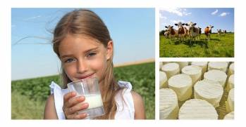 © Fromagerie Delin © Fromagerie Delin