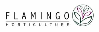 FLAMINGO HORTICULTURE (FLAMINGO) FLAMINGO HORTICULTURE (FLAMINGO)