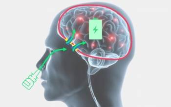 © Ceres Brain Therapeutics  © Ceres Brain Therapeutics