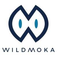 Capital Innovation WILDMOKA dimanche 18 février 2018