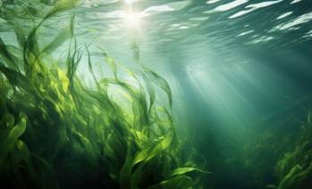 © Adobe Photo Stock (généré à l'aide de l'IA) © Adobe Photo Stock (généré à l'aide de l'IA)