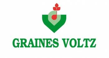Graines Voltz