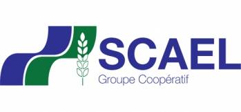 Scael