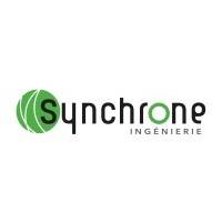 Build-up SYNCHRONE INGENIERIE POLLEN vendredi  1 août 2025