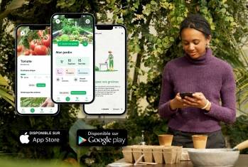 © Dr. Jonquille & Mr. Ail