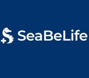 Capital Innovation SEABELIFE BIOTECH jeudi 27 mai 2021