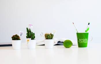 © Cream Consulting © Cream Consulting