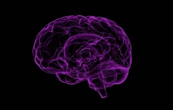 © Raman Oza de Pixabay