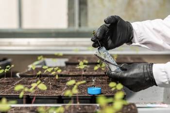 ©Micropep Technologies