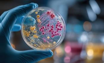 © Adobe Photo Stock (généré à l'aide de l'IA)