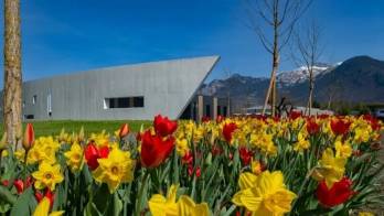 © De Facultatieve © De Facultatieve