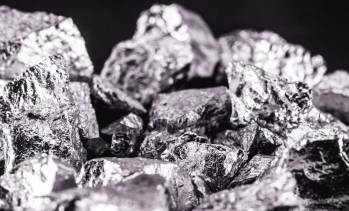 © Adobe Photo Stock