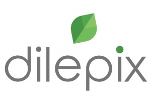 Capital Innovation DILEPIX lundi 29 avril 2019