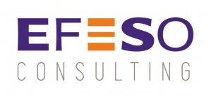 Efeso Consulting