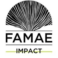 Famae Impact