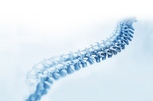 © France Rachis (FR2D) © France Rachis (FR2D)