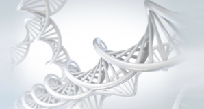 Invisible Sentinel Double hélice ADN