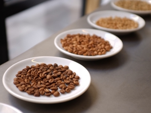 © Maître du Terroir (Coutume)