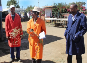 Exeo Capital a investi (via son véhicule Agri-Vie II) dans l'horticulteur kényan Marginpar Group en janvier 2018. - © Exeo Capital