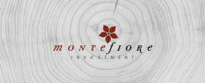 © Montefiore Investment © Montefiore Investment