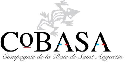 Cobasa Cobasa