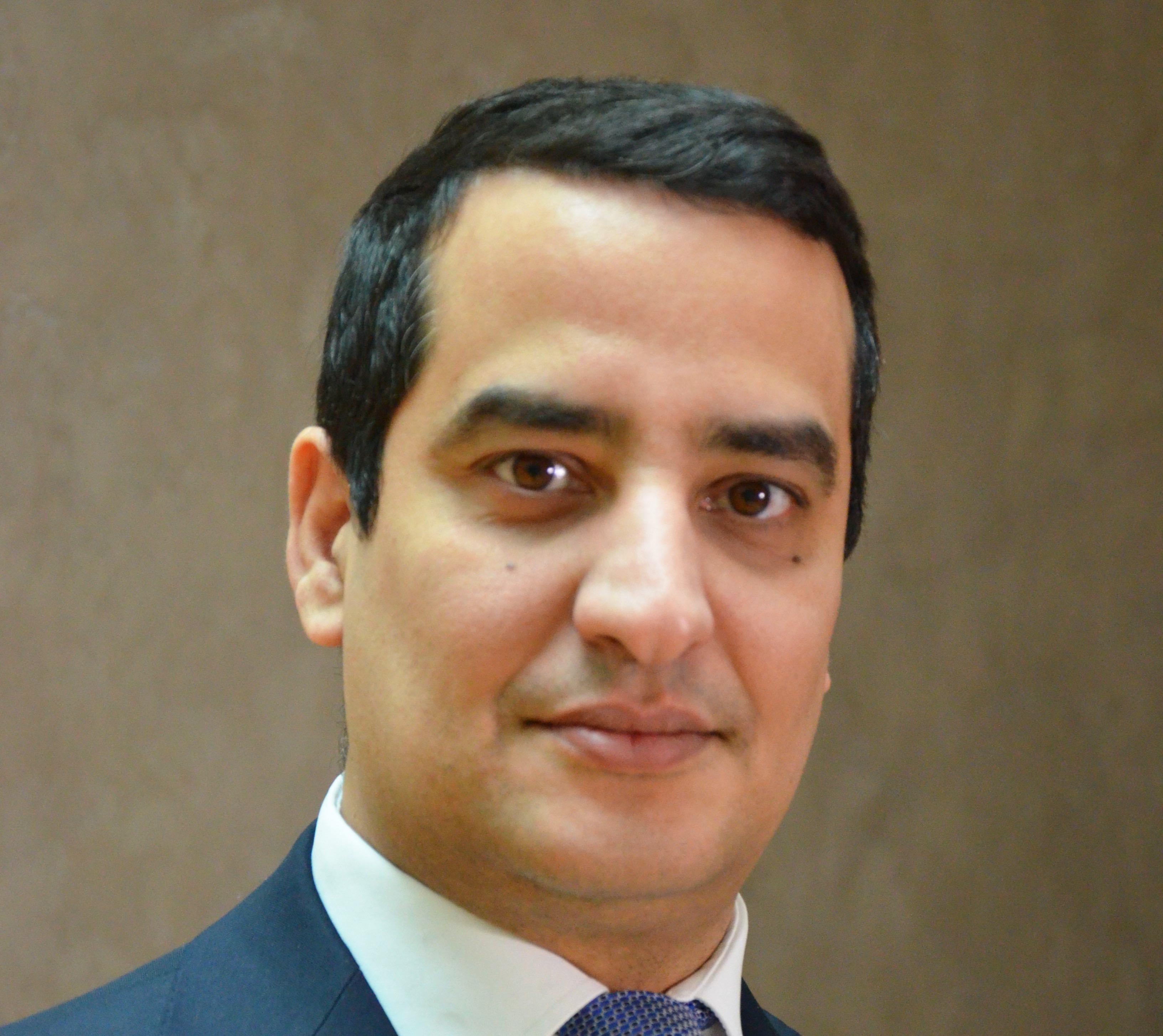 Anas Hanan, Roland Berger