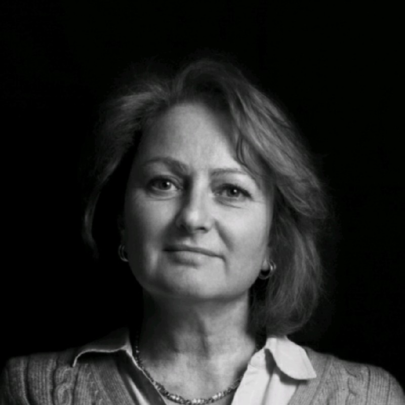 Anne-Lucie Philonenko, Ileo Conseil